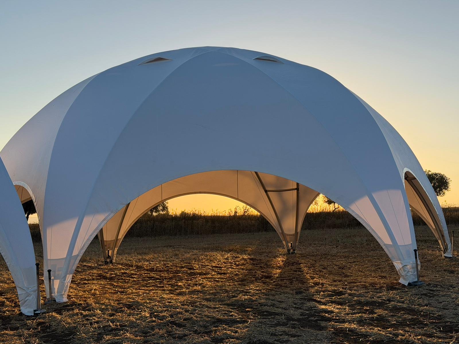 Hexadome M
